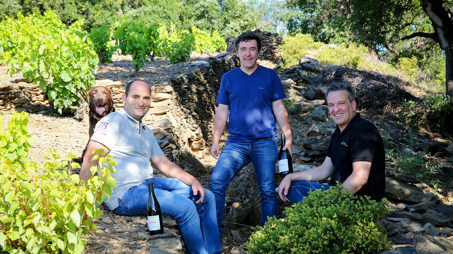 comme-del-mas domaine